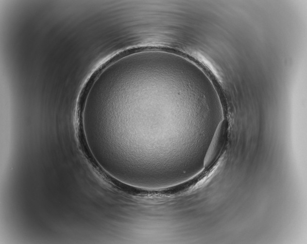 X0000093611077200710151235