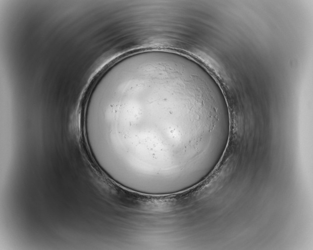 X0000093611078200710151235