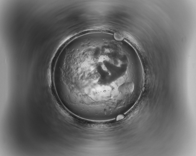 X0000093611079200710151235