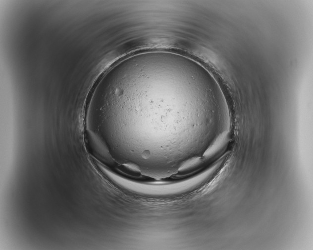 X0000093611081200710151235