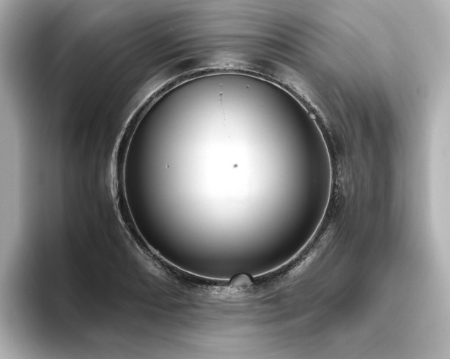 X0000093611082200710151235