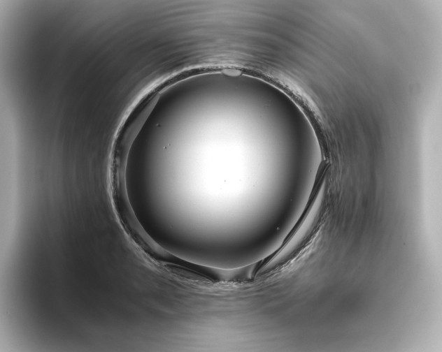 X0000093611085200710151235