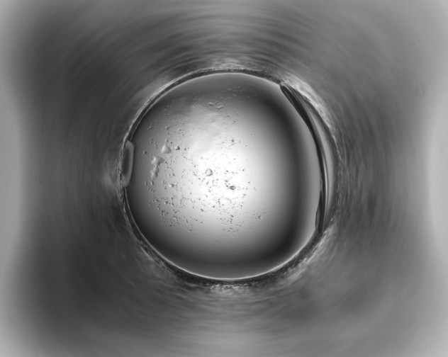 X0000093611089200710151235