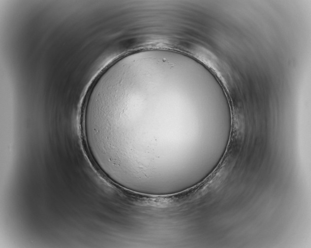 X0000093611090200710151235