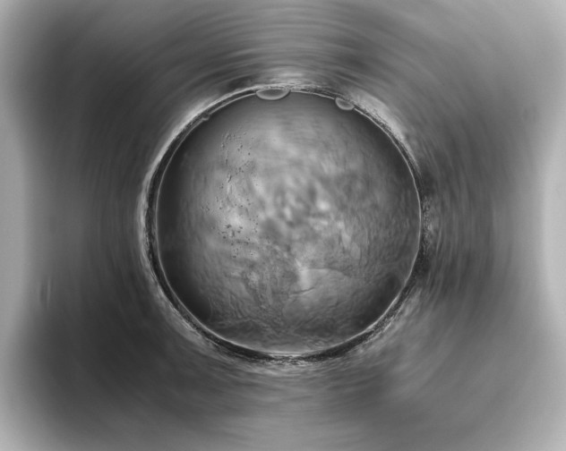 X0000093611091200710151235