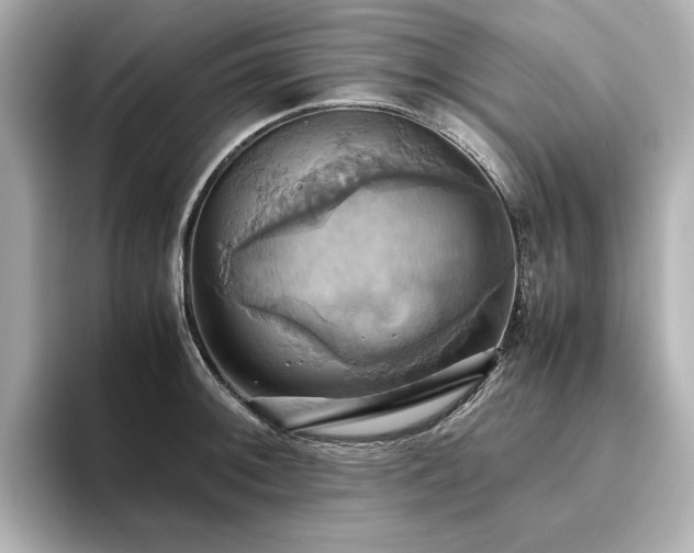 X0000093611092200710151235