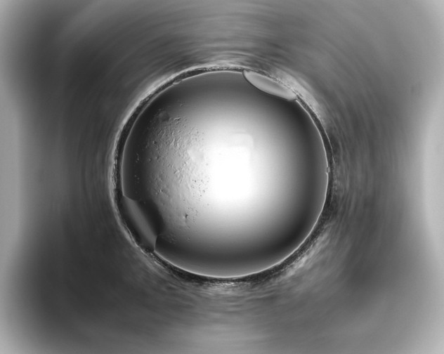 X0000093611093200710151235