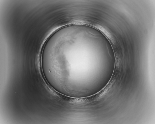 X0000093611094200710151235