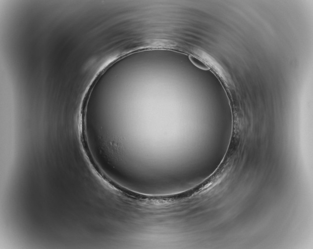 X0000093611095200710151234
