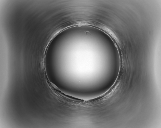 X0000093611097200710151234