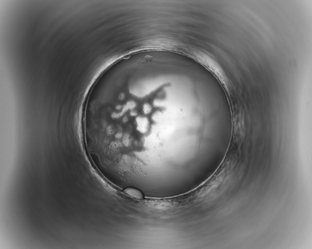 X0000093611103200710151234