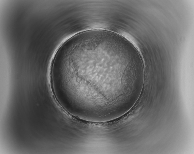 X0000093611104200710151234