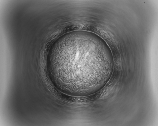 X0000093611105200710151234