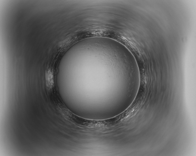 X0000093611106200710151234
