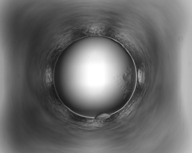 X0000093611107200710151234