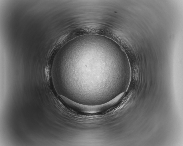 X0000093611108200710151234