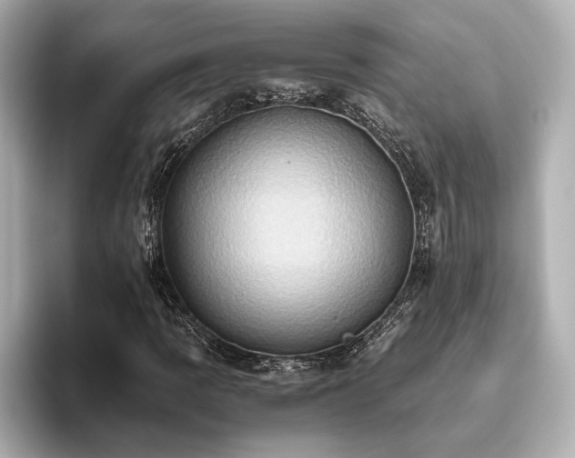X0000093611109200710151234