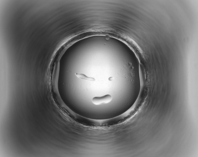 X0000093611114200710151234