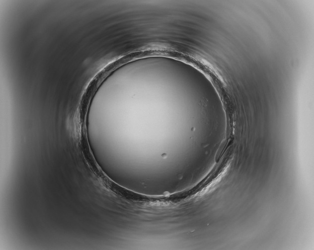 X0000093611117200710151234