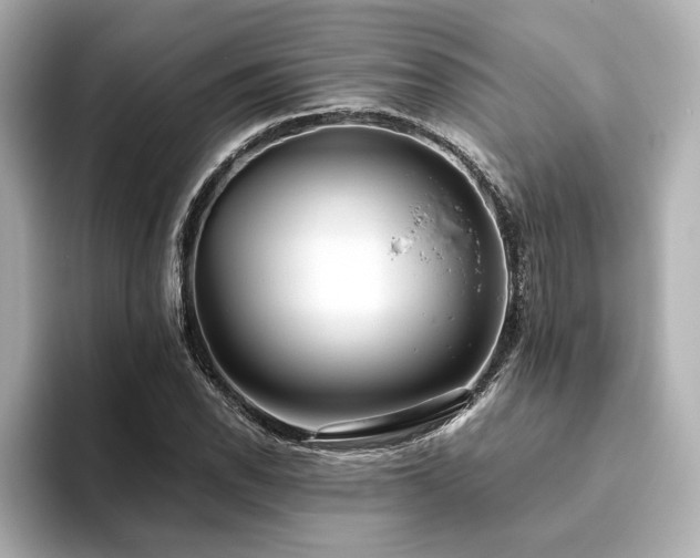 X0000093611118200710151234