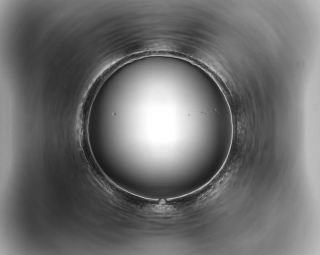 X0000093611119200710151234