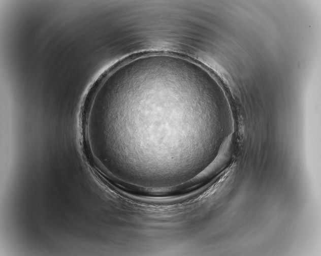 X0000093611120200710151234