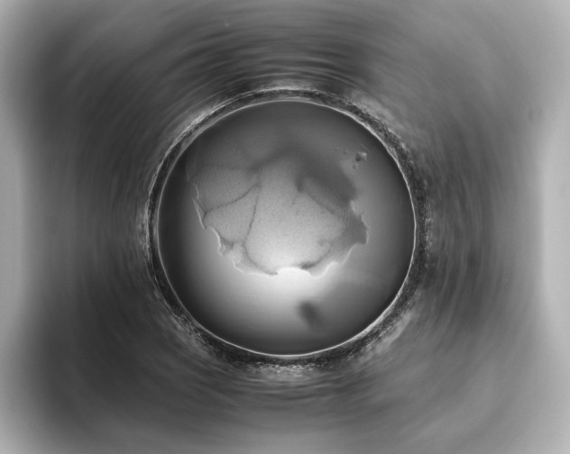 X0000093611121200710151234