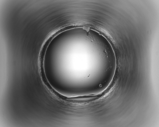 X0000093611122200710151234