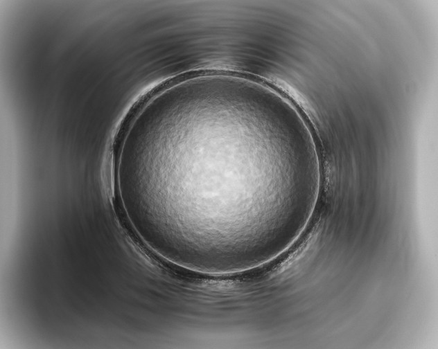 X0000093611123200710151234