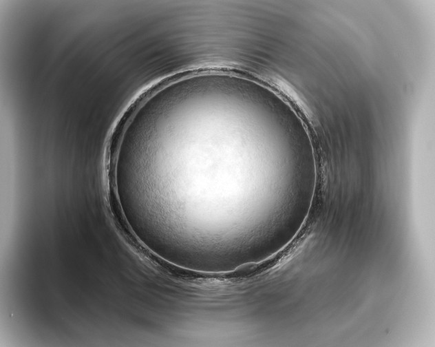 X0000093611124200710151234