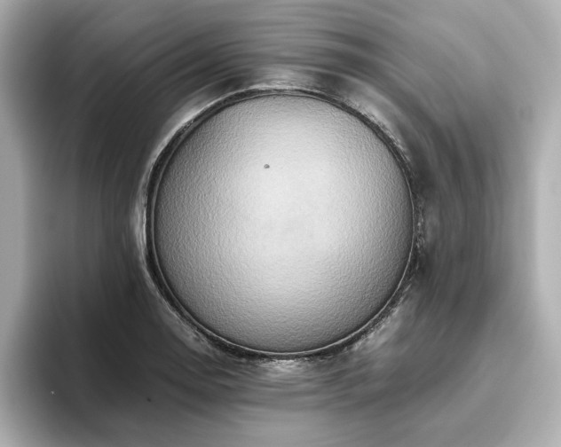X0000093611130200710151234
