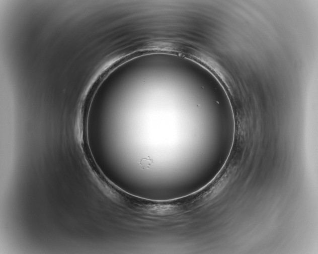 X0000093611131200710151234