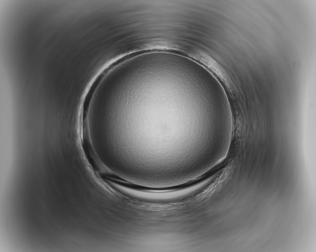 X0000093611132200710151234