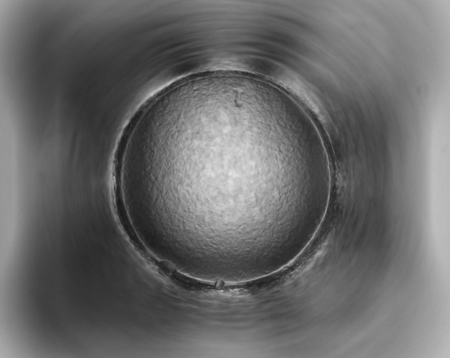 X0000093611133200710151234