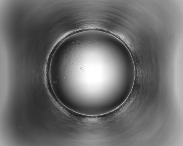 X0000093611134200710151234