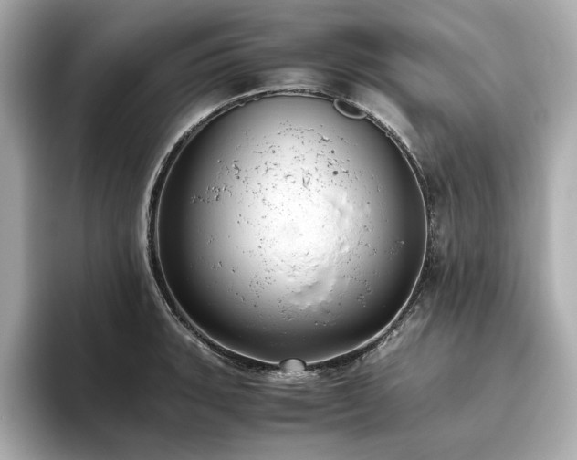 X0000093611135200710151234