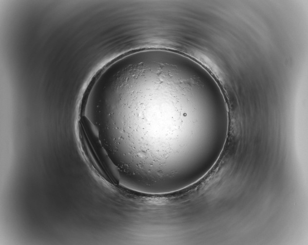 X0000093611136200710151234
