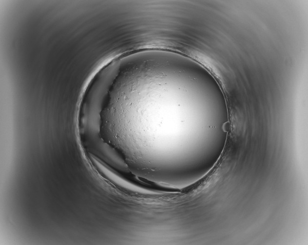 X0000093611138200710151234