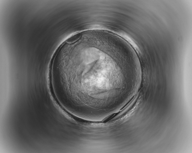 X0000093611142200710151234