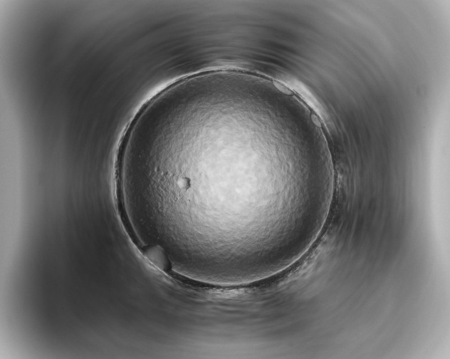 X0000093611143200710151234