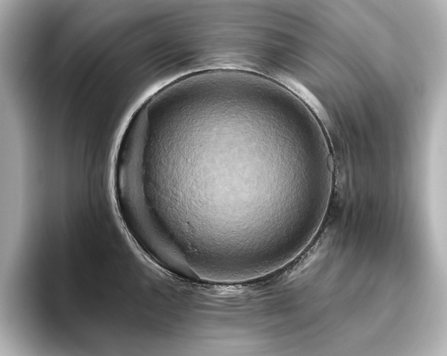 X0000093611144200710151234