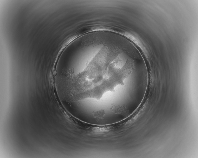 X0000093611145200710151234