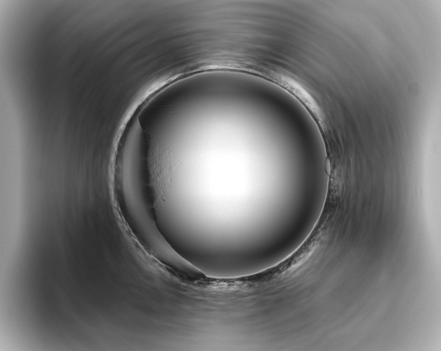 X0000093611146200710151234