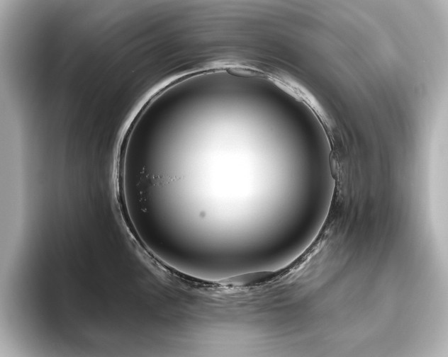 X0000093611148200710151234