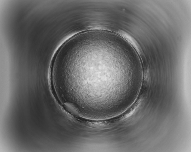 X0000093611149200710151234