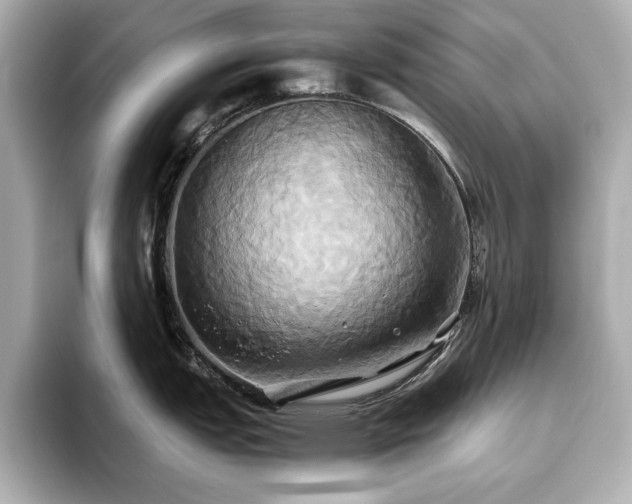 X0000093611151200710151234
