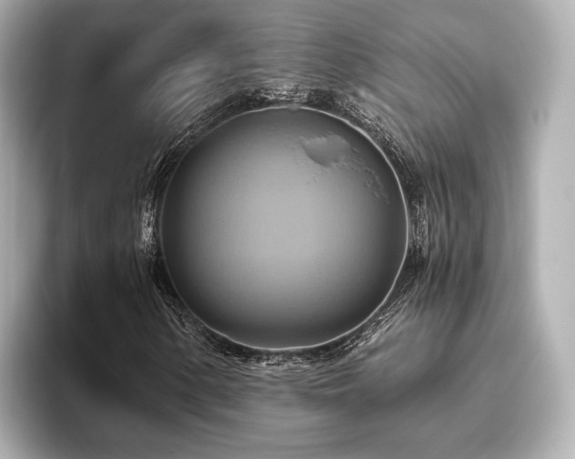 X0000093611154200710151234