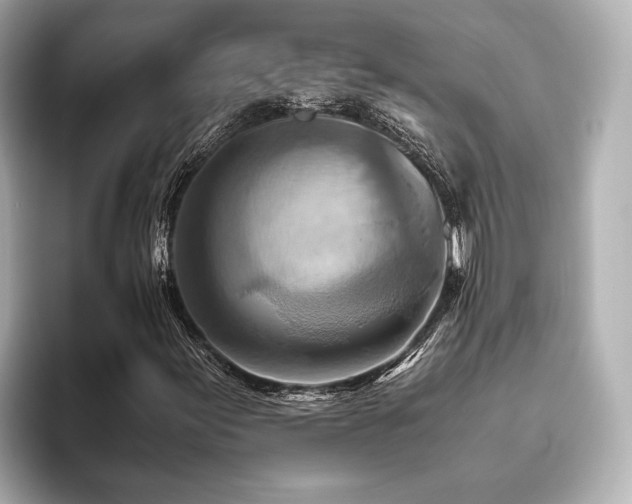 X0000093611155200710151234
