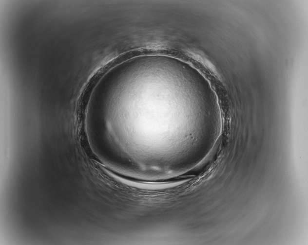 X0000093611160200710151234