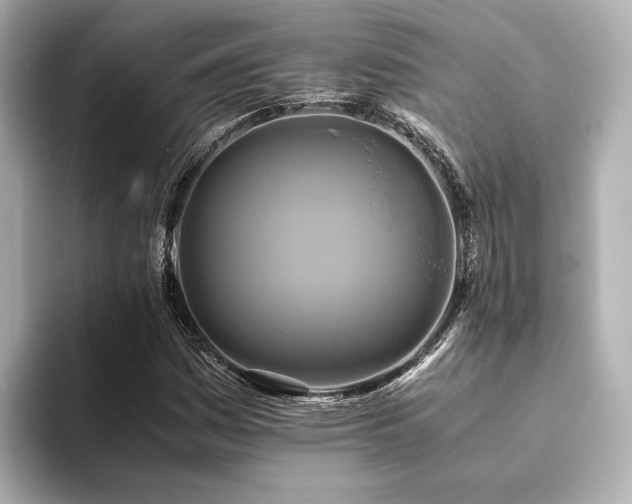 X0000093611161200710151234